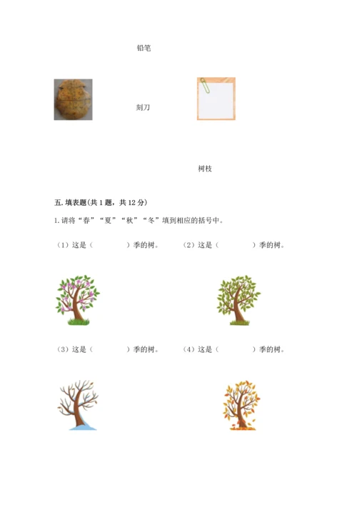 教科版科学二年级上册《期末测试卷》（夺冠系列）.docx