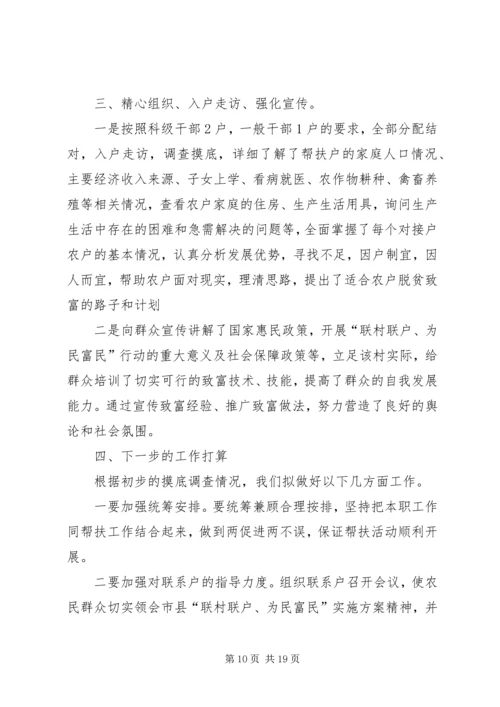 双联行动自查报告.docx