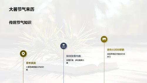 大暑生活指南