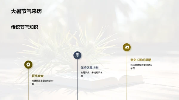 大暑生活指南