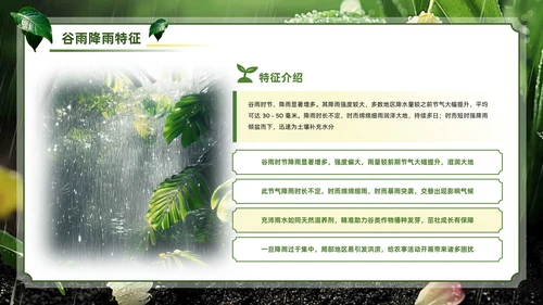 绿色系传统文化二十四节气谷雨主题PPT模板