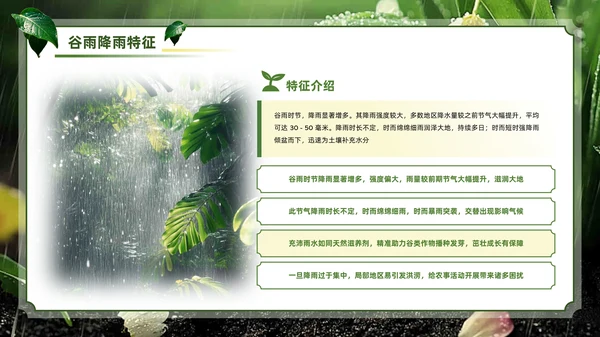 绿色系传统文化二十四节气谷雨主题PPT模板