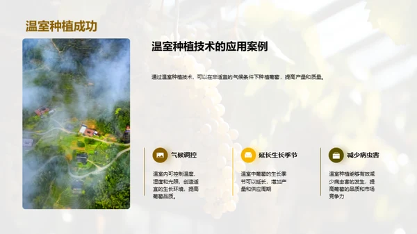 葡萄种植的创新之路