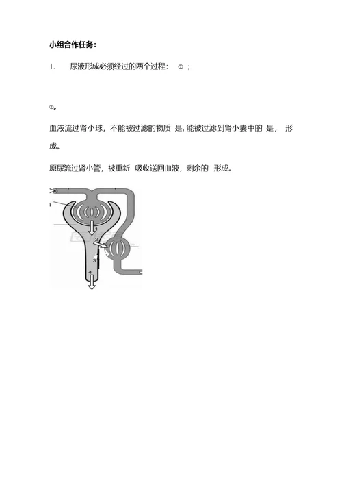 初中生物 人体内废物的排出专题复习教学设计学情分析教材分析课后反思