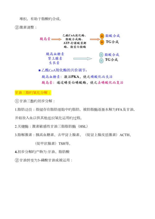 2023年生物化学脂质代谢知识点总结.docx