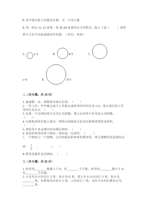 苏教版六年级数学小升初试卷及完整答案【有一套】.docx