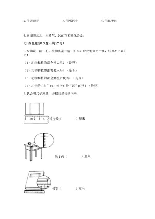 教科版一年级上册科学期末测试卷附参考答案（综合卷）.docx