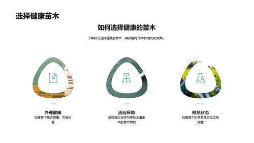 绿化家园，从我做起