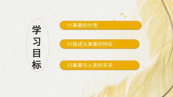 人教版（2024）七年级上册2.3.3真菌(共27张PPT)+视频素材