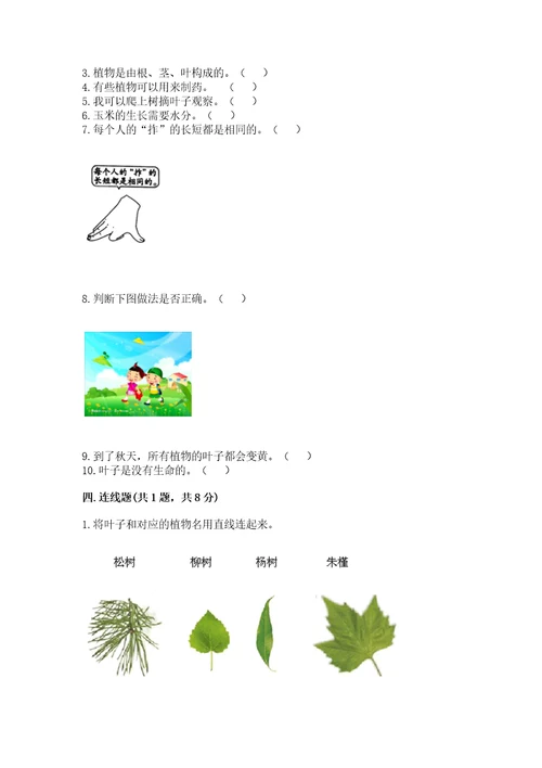 教科版一年级上册科学期末测试卷带答案ab卷