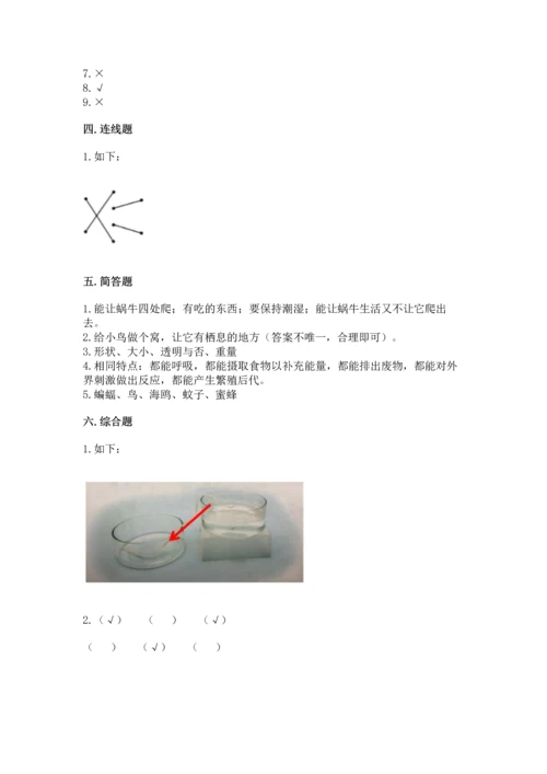 教科版一年级下册科学期末测试卷精品【名师推荐】.docx