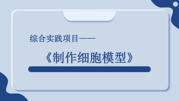 综合实践项目1制作细胞模型（课件）（人教版2024）-【跨学科实践】七年级生物上册跨学科实践备课包（