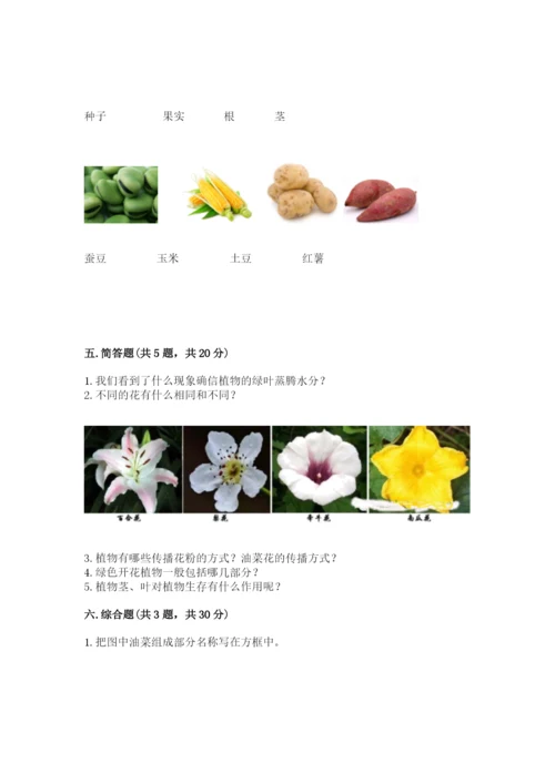 教科版四年级下册科学第一单元《植物的生长变化》测试卷【易错题】.docx