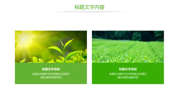 唯美绿色茶园茶文化品茶论道PPT模板