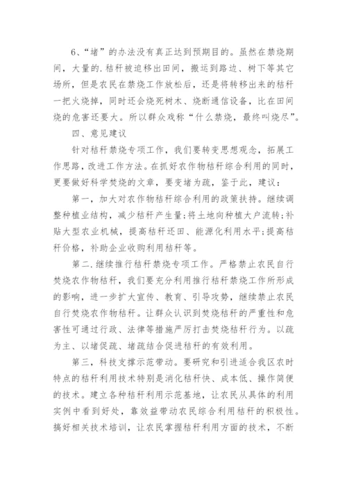 乡镇秸秆禁烧工作总结.docx