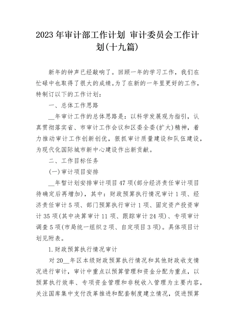 2023年审计部工作计划 审计委员会工作计划(十九篇).docx