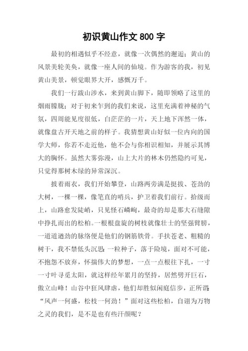 初识黄山作文800字.docx