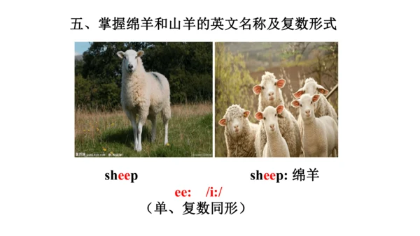 Unit 6  Would you like to take a trip? 单元知识梳理（单词+句