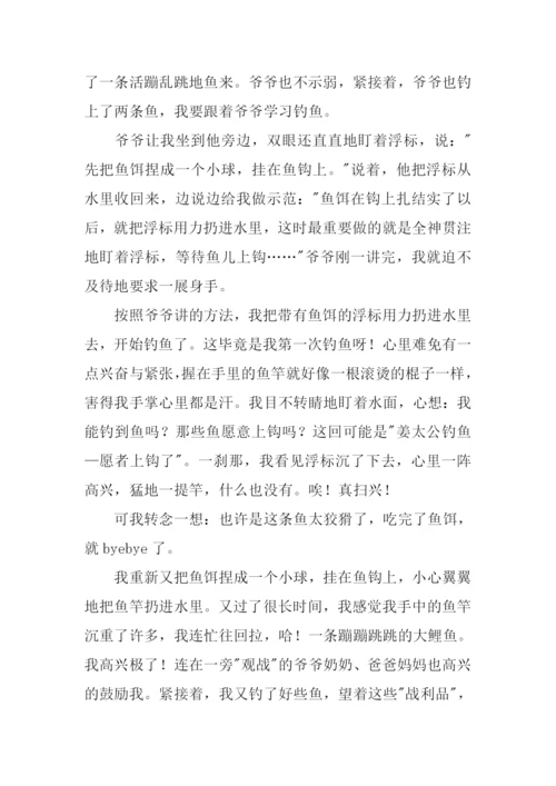 什么的启示作文800字.docx