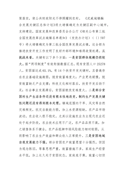 扶贫开发调研研究报告.docx