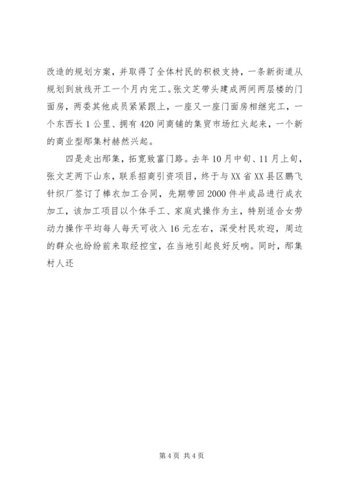 村党支部书记致富带头人材料 (3).docx