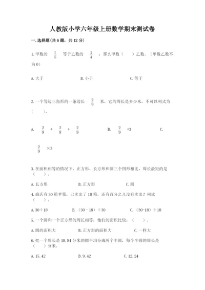 人教版小学六年级上册数学期末测试卷精品【典型题】.docx