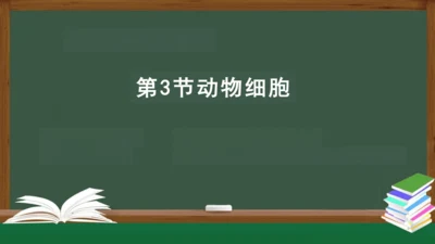 2.1.3 动物细胞 课件（共32张PPT）