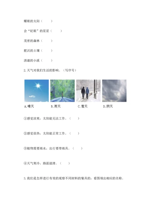 教科版二年级上册科学期末测试卷含完整答案【易错题】.docx