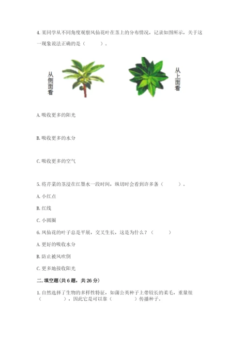 科学四年级下册第一单元植物的生长变化测试卷a4版.docx