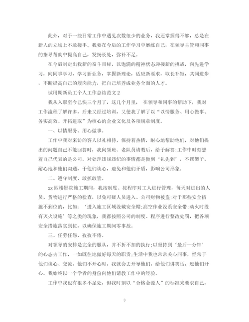 精编之试用期新员工个人工作总结范文.docx