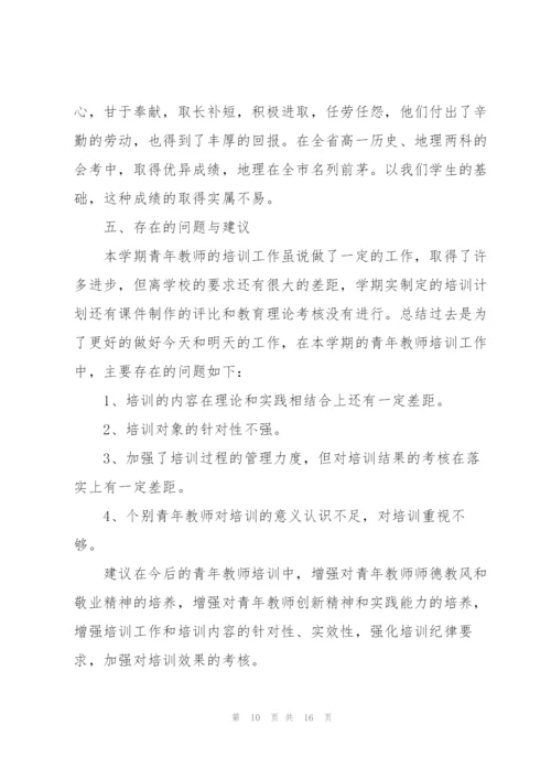 青年教师培训个人总结三篇.docx