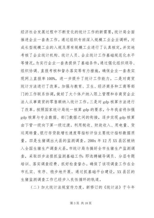 乡镇统计个人工作总结与计划.docx