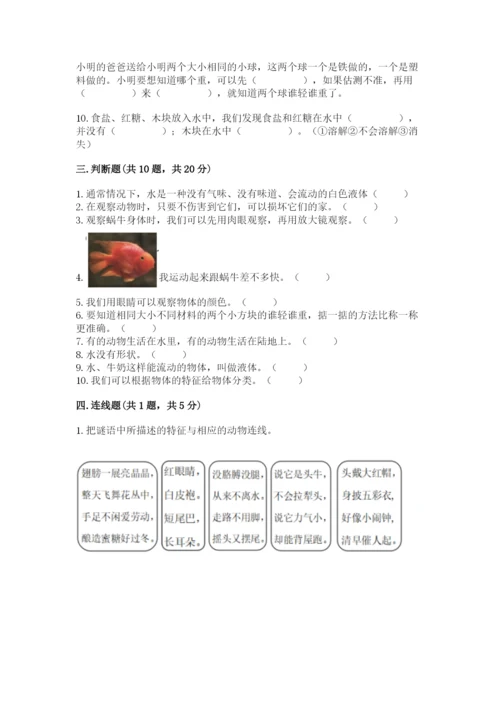 教科版一年级下册科学期末测试卷及1套完整答案.docx