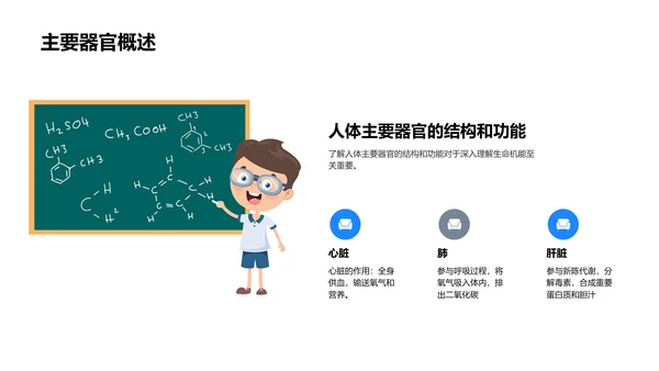人体器官解剖讲座PPT模板