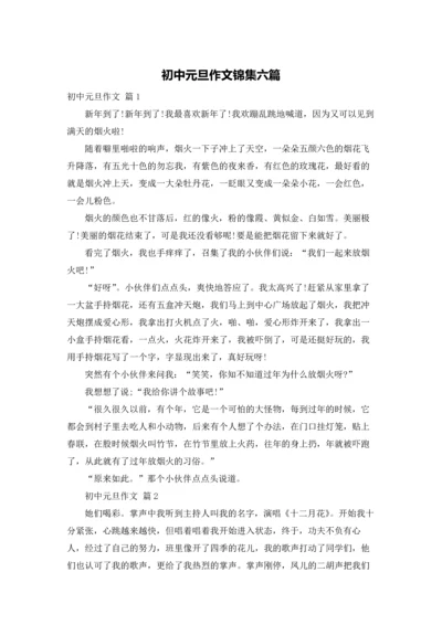 初中元旦作文锦集六篇.docx