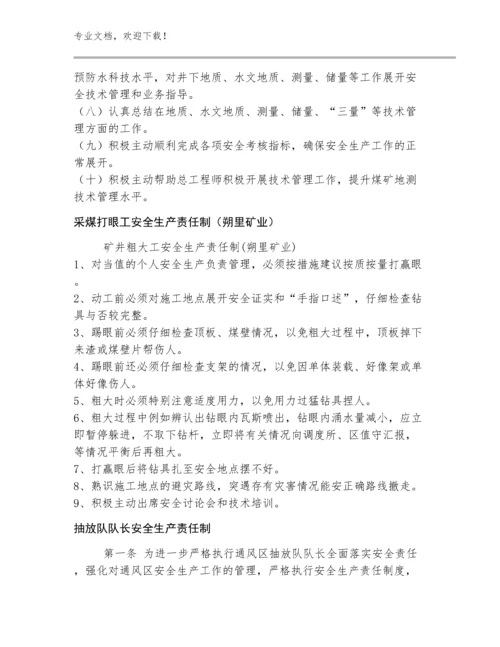 2023董事会和总经理办公室主任安全生产责任制规范多篇合集.docx