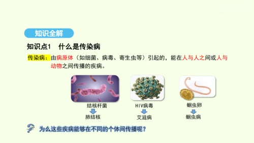 8.1.1传染病及其预防课件-人教版生物八年级下册(共29张PPT)