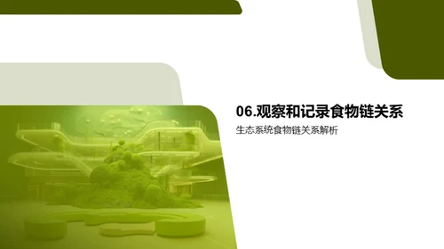 揭秘生态食物链