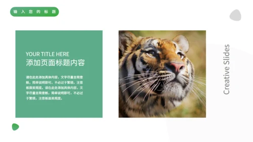 绿色自然生态动物保护宣传通用PPT模板