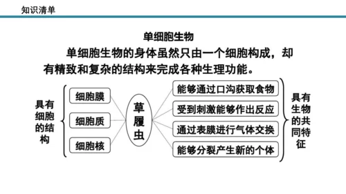 人教版生物七年级上册第一单元《生物与细胞》单元复习课件(共53张PPT)