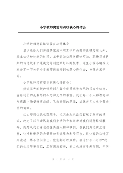 小学教师岗前培训收获心得体会.docx