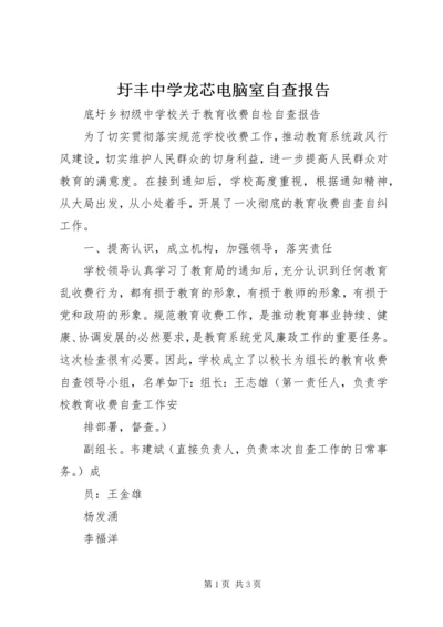 圩丰中学龙芯电脑室自查报告.docx
