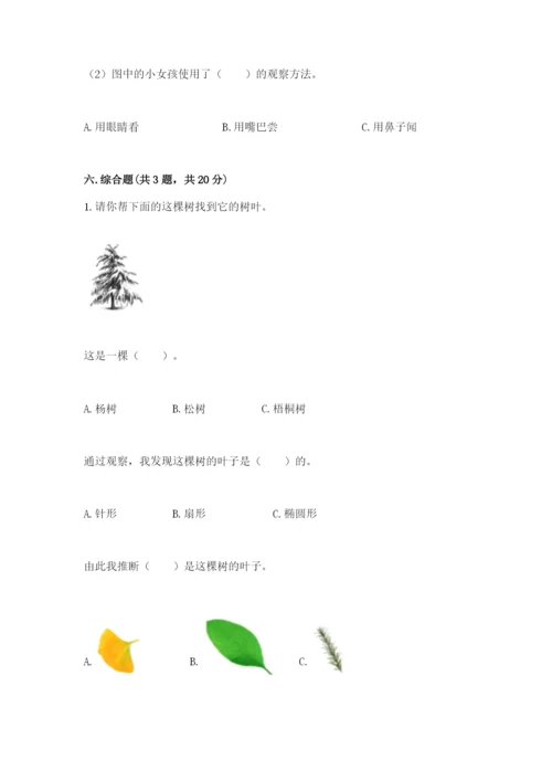 教科版一年级上册科学期末测试卷及精品答案.docx