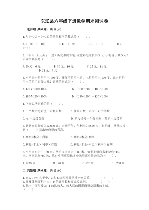 东辽县六年级下册数学期末测试卷（考试直接用）.docx
