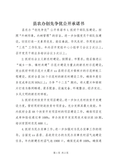 县农办创先争优公开承诺书.docx