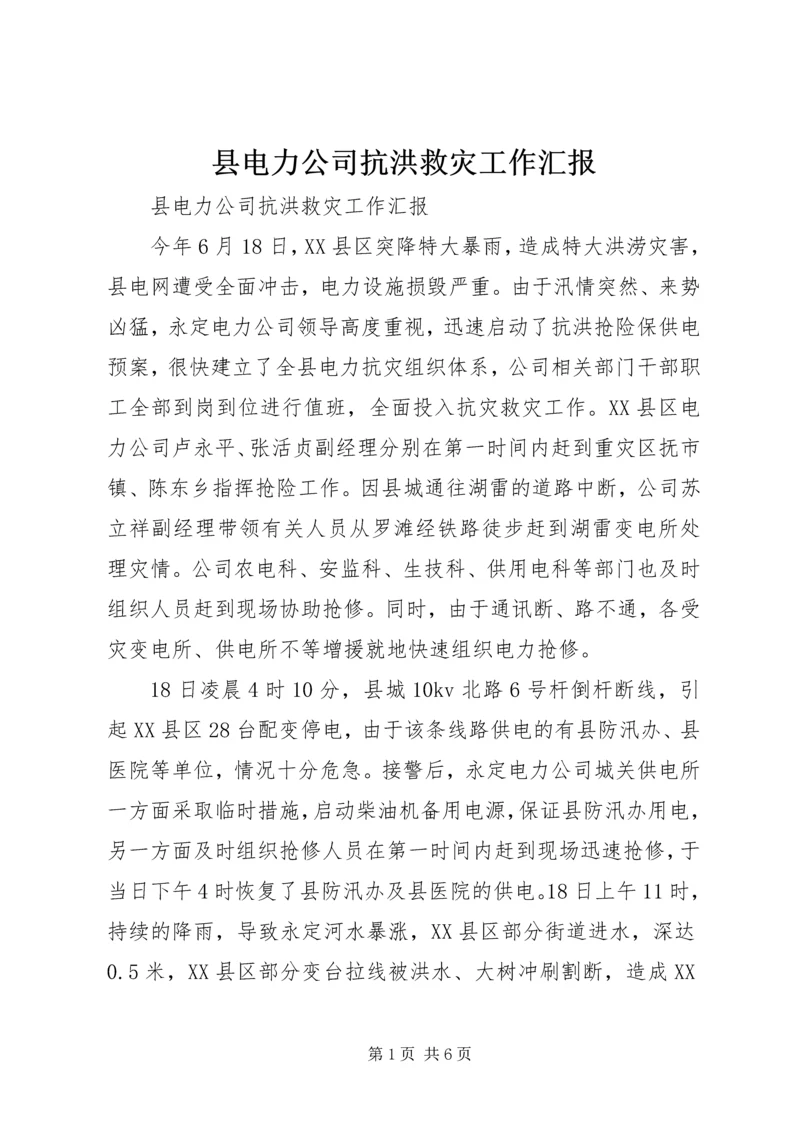 县电力公司抗洪救灾工作汇报 (3).docx