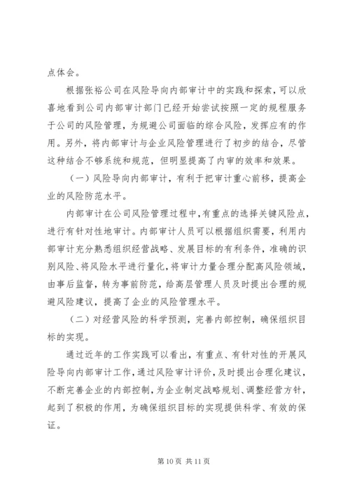 公司内部审计经验交流.docx