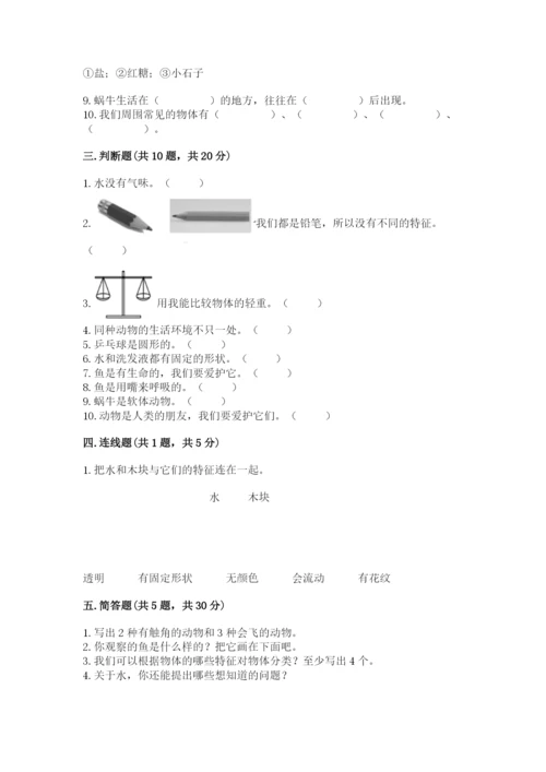教科版一年级下册科学期末测试卷（考点梳理）.docx