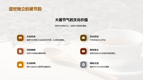 体验大暑节气文化