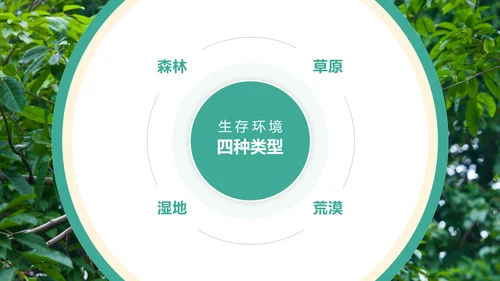保护野生动物斑马通用PPT模板